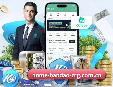 半岛体育登录入口 APP